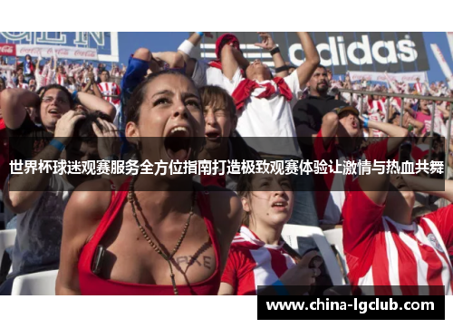 世界杯球迷观赛服务全方位指南打造极致观赛体验让激情与热血共舞