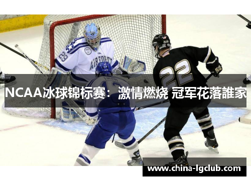 NCAA冰球锦标赛：激情燃烧 冠军花落誰家