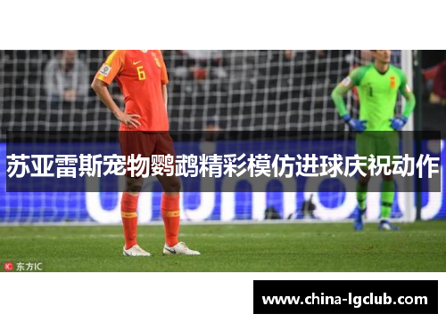 苏亚雷斯宠物鹦鹉精彩模仿进球庆祝动作