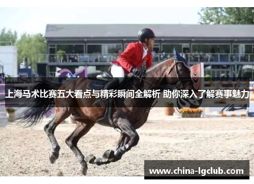 上海马术比赛五大看点与精彩瞬间全解析 助你深入了解赛事魅力