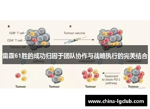 雷霆61胜的成功归因于团队协作与战略执行的完美结合