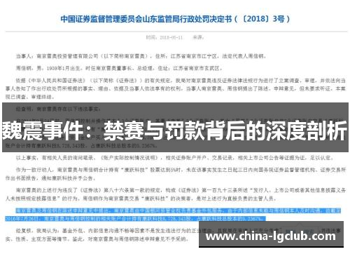魏震事件：禁赛与罚款背后的深度剖析