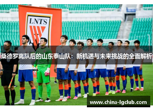 桑德罗离队后的山东泰山队：新机遇与未来挑战的全面解析