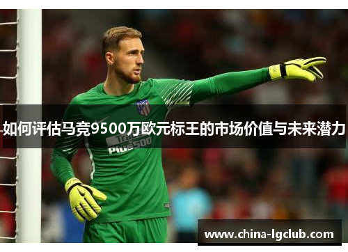 如何评估马竞9500万欧元标王的市场价值与未来潜力