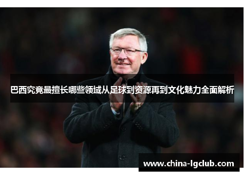 巴西究竟最擅长哪些领域从足球到资源再到文化魅力全面解析