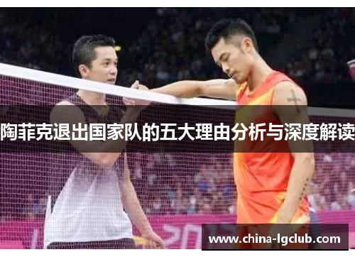 陶菲克退出国家队的五大理由分析与深度解读