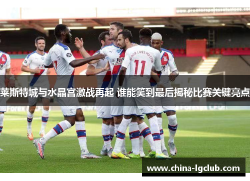 莱斯特城与水晶宫激战再起 谁能笑到最后揭秘比赛关键亮点