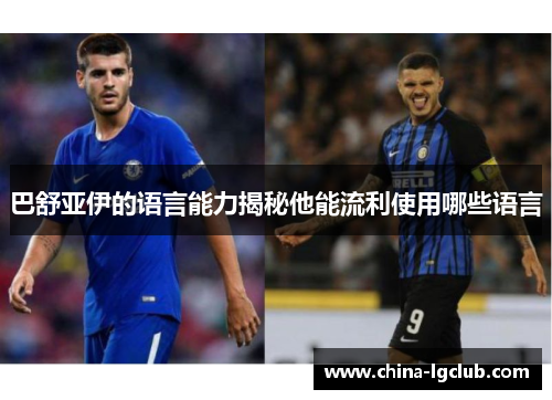 巴舒亚伊的语言能力揭秘他能流利使用哪些语言